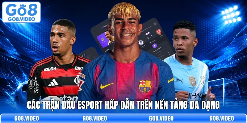 Các trận đấu Esport hấp dẫn trên nền tảng đa dạng