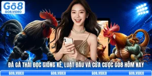 Đá Gà Thái Đọc Giống Kê, Luật Đấu Và Cửa Cược Go8 Hôm Nay