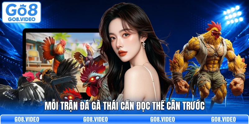 Mỗi trận đá gà Thái cần đọc thế cân trước
