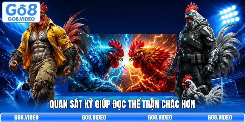 Quan sát kỹ giúp đọc thế trận chắc hơn