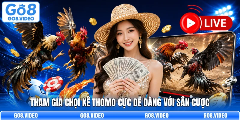 Tham gia chọi kê Thomo cực dễ dàng với sân cược
